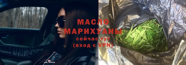 дмт Дмитровск