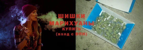 дмт Дмитровск