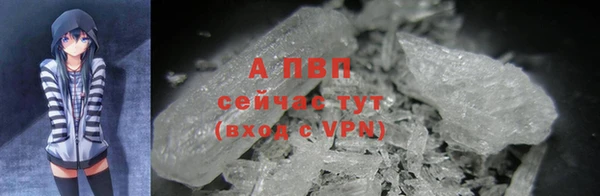 эйфоретик Дмитриев
