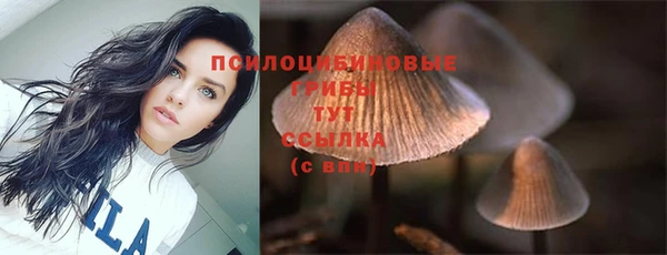 дмт Дмитровск