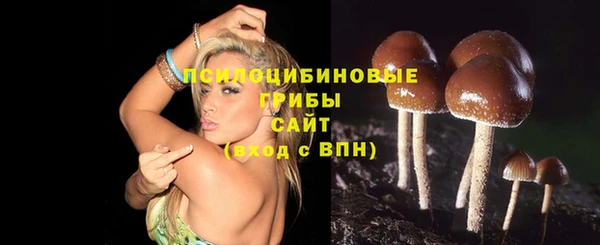 эйфоретик Дмитриев
