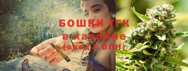 дмт Дмитровск