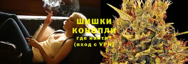 дмт Дмитровск