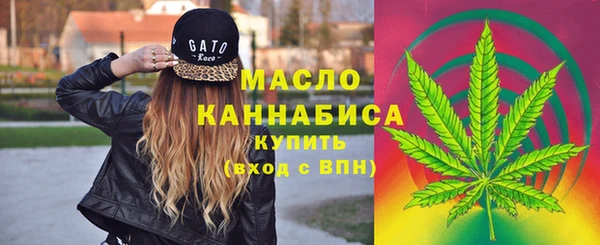 дмт Дмитровск