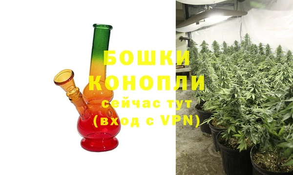 эйфоретик Дмитриев