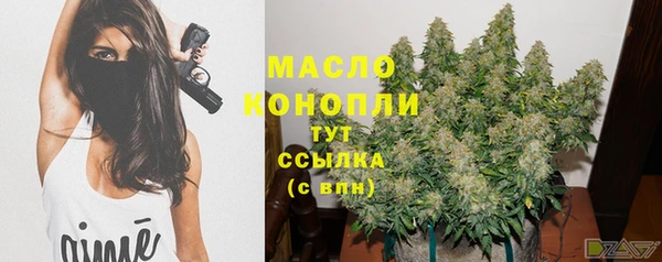дмт Дмитровск