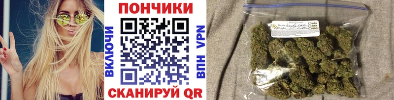 Купить  Рыльск  Канабис планчик 